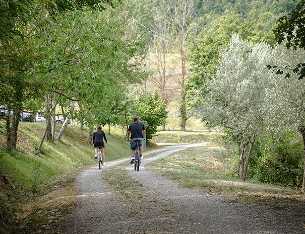 Al centro della foto, una strada sterrata segna un sentiero in natura, circondato da rigogliosi alberi di ogni tipologia. Al centro del sentiero, due persone stanno pedalando in bicicletta.
