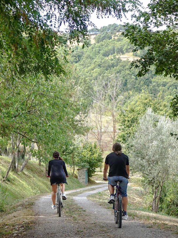 Al centro della foto, una strada sterrata segna un sentiero in natura, circondato da rigogliosi alberi di ogni tipologia. Al centro del sentiero, due persone stanno pedalando in bicicletta.