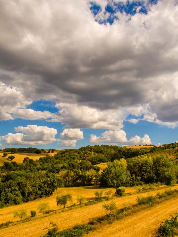 Foto panoramica delle colline umbre che circondano l’Agriturismo Montelovesco. Il terreno è composto da terreni coltivabili alternati ad alberi di varie tipologie.