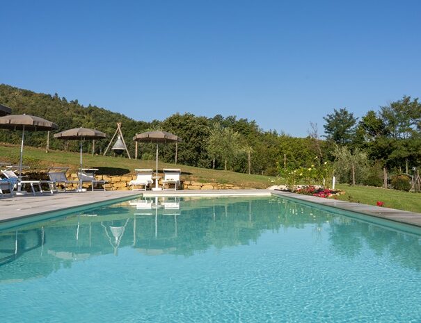 Foto della piscina e del solarium con ombrelloni dell’Agriturismo Montelovesco. Nella parte inferiore della foto è presente la piscina, nella parte superiore si vedono le colline umbre. Il complesso è circondato da grandi giardini, terreni per le pratiche agricole e alberi di ogni genere.